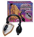 Vibrating Vagina Sucker